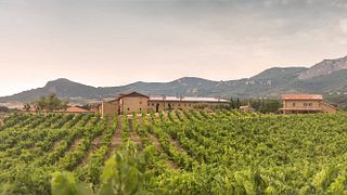 Visite de sélection à l'Hacienda El Ternero