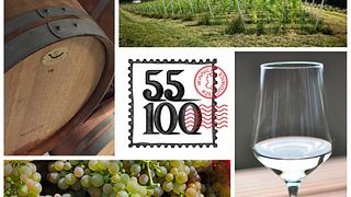 Winnica 55-100: A Hidden Gem in Lower Silesia