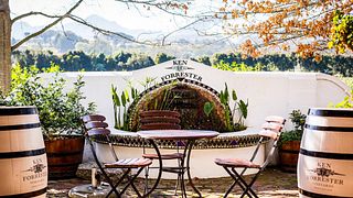 Piccola degustazione di vini presso Ken Forrester Wines
