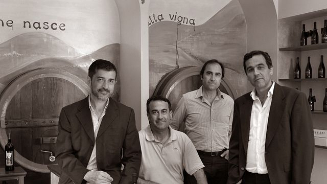 Degustazione e visita presso Terre di San Ginesio srl