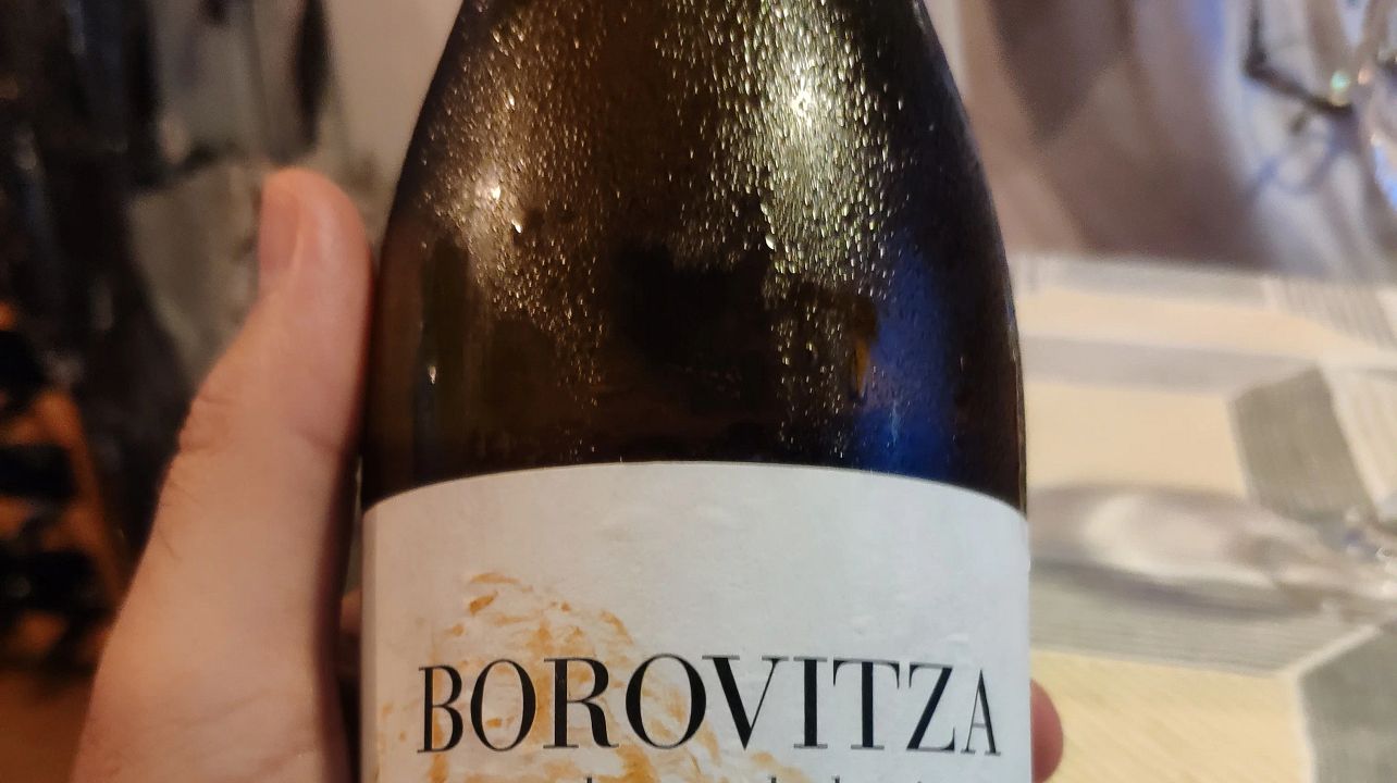 Dégustation de vins exquis à Plovdiv