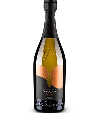 Wine Tasting and Tour at Azienda Agricola Follador Francesco