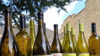 Navarra Wine Journey at Bodegas Caudalia