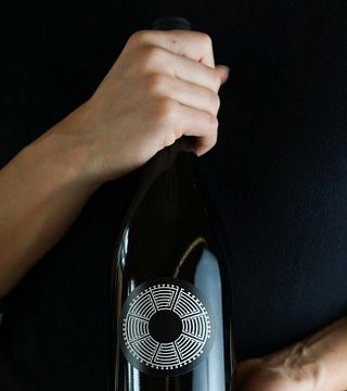 Cata clásica de vinos en la bodega Gál Tibor