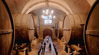 Vino y comida en Castello di Semivicoli