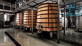 Ribafreixo Wines