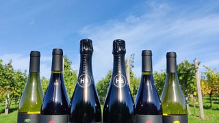 Degustação de vinhos e passeio no vinhedo Huxbear