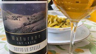 Lazio Winemaking & Tasting at Cantina I Ciacca
