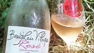 Degustazione di vini e tour al Domaine du Tane