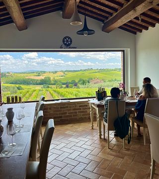 VIGNETO, VISITA DELLA CANTINA E DEGUSTAZIONE DI 6 VINI PRESSO LE BERNE A MONTEPULCIANO