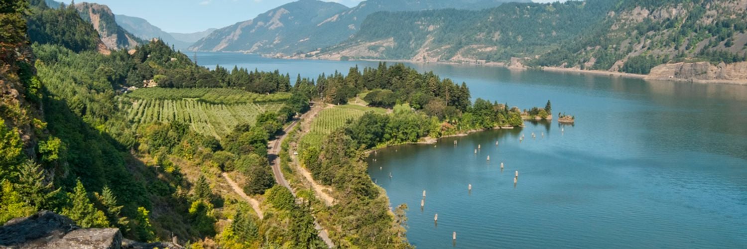 Vineyard &amp; Orchards in Columbia River Gorge