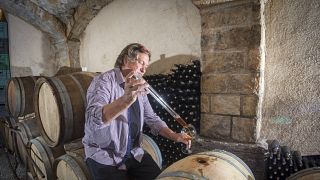 Cata de vinos y visita guiada a la bodega boutique Renčel