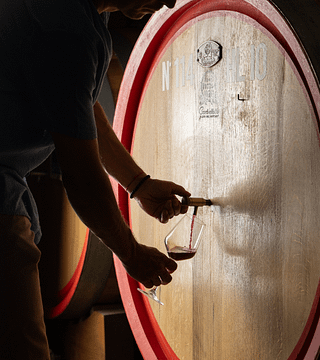 Play With Wine - LET'S PLAY! -