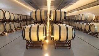 Visita e Prova de Vinhos na Quinta do Paral