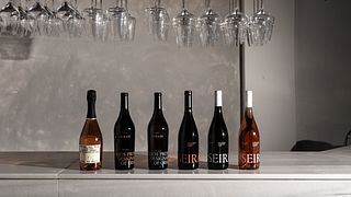 Dégustation de vins Karpima à la communauté agricole de Paros