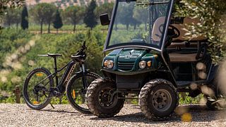 Explore Umbria’s Eco Wine & Olive Experience