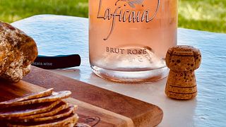 Degustação de vinhos e tour em Laficaia