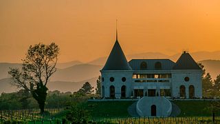 Cata de vinos premium y visita guiada al Château Buera