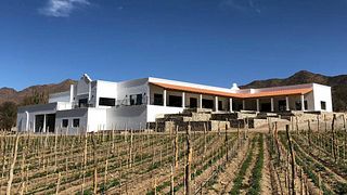 Weinprobe und Tour in der Bodega Puna