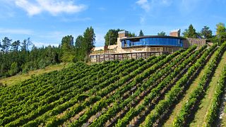 Cave Berroja : Txakoli, nature et paysage