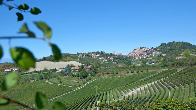 F.Lli Moscone Winery