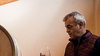 Wine Tasting and Tour at Eraldo Viberti