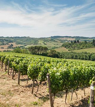 Tenuta Castiglioni