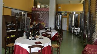 Cata de vinos y visita a la Bodega Efrosini