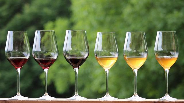 Degustazione di vini e tour presso l'azienda vinicola Sad Meli