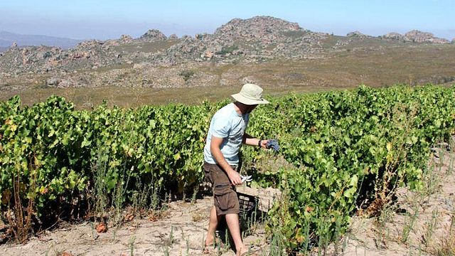 Degustazione di vini e tour a Tierhoek