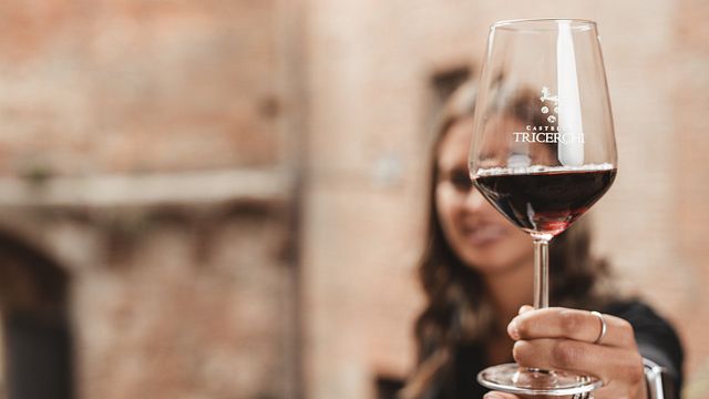 Weinprobe und Besuch im Castello Tricerchi