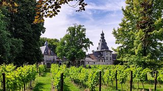 Dégustation et visite de vins au Château De Bioul