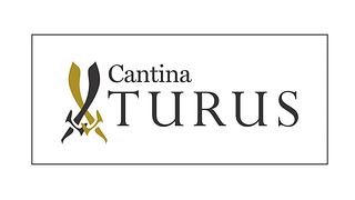 Degustação de vinhos e tour na Cantina Turus