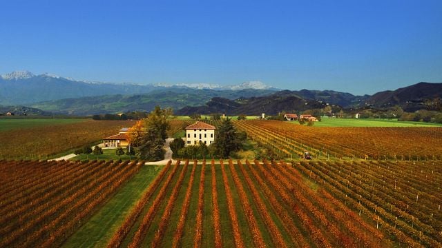 Innamorati dei vini in stile emiliano alla Tenuta Medici Ermete & Figli