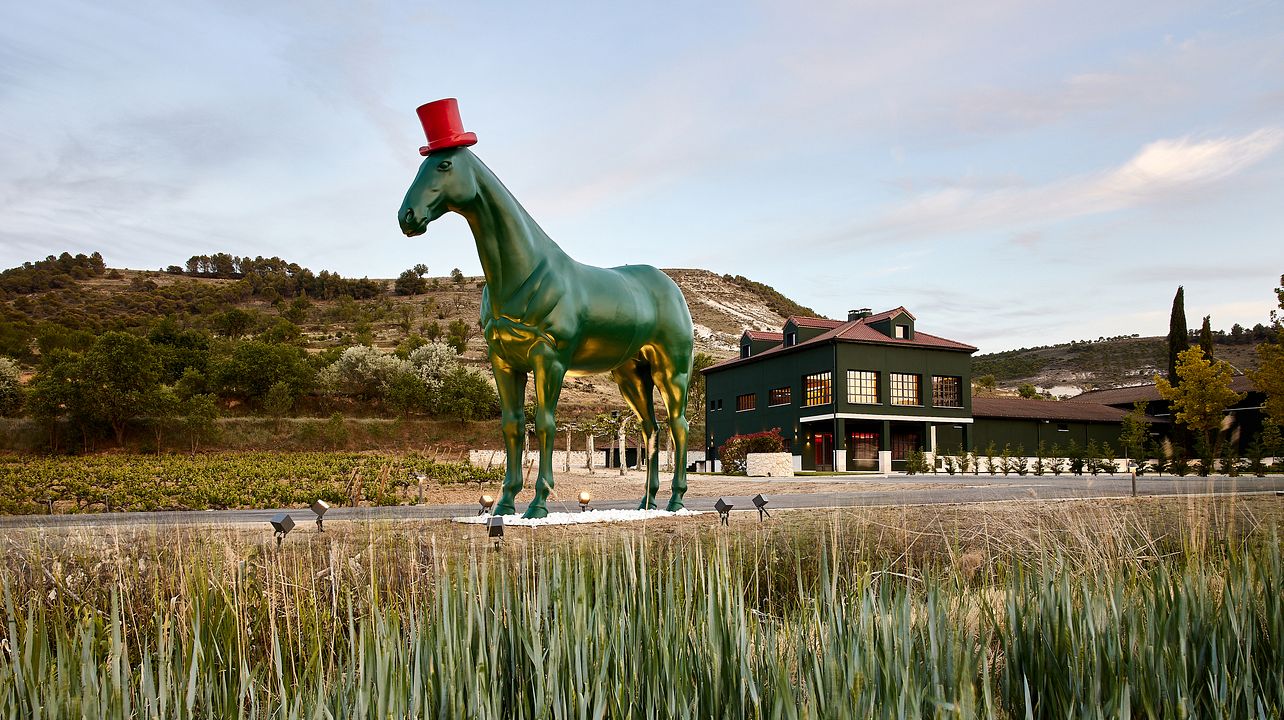Descubre el caballo ganador de Ribera del Duero: visita y cata de vinos a Bodegas Virtus