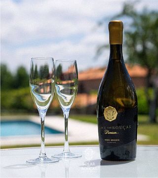Degustazione di vini e tour al Solar Das Bouças