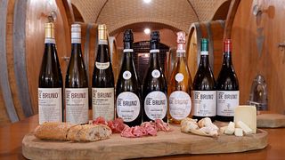 Degustação de vinhos clássicos e tour no Sandro De Bruno