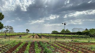 Essens- und Weinpaarungserlebnis bei Etruscaia