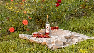 Chateau Buera Especiais