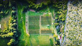 Vino y cena en la naturaleza | Jokaš