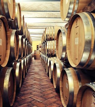 Degustação de vinhos e passeio no Tenuta Il Falchetto