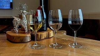 Vinprovningsupplevelse på Bodegas Nabal