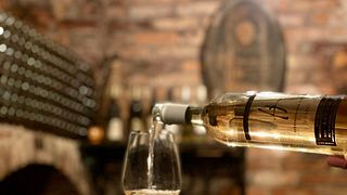 Weinprobe im Weinkeller Herberstein