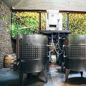 Dégustation de vins et visite du Clos De Tres Cantos