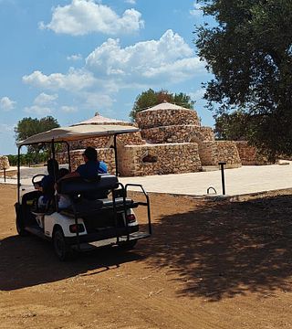Masseria Borgo dei Trulli