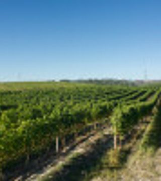 Superior Tasting | Quinta das Arcas