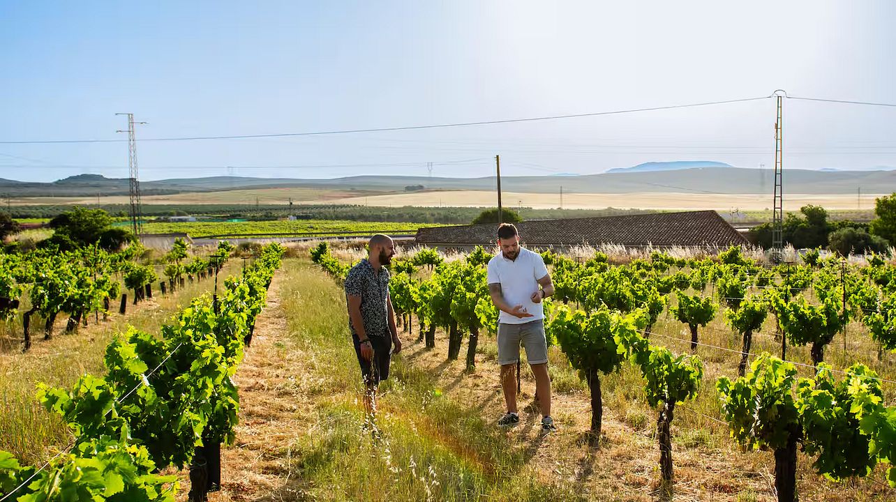 Bodegas Carpe Diem