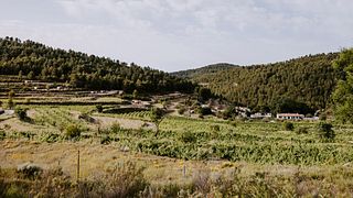 Siete Bancales