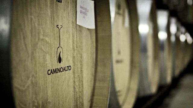 Dégustation de vins et visite des caves Bodegas Camino Alto
