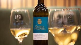 Wine Tasting At The Historic Quinta D'Amares